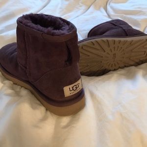 Maroon short Uggs